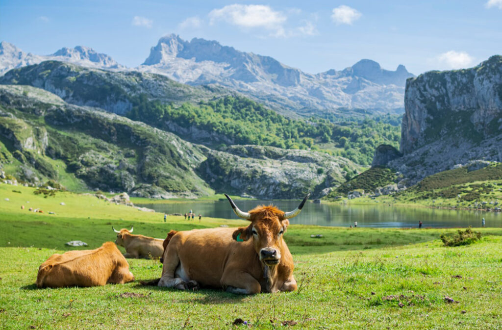 picos-europa